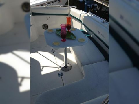 1993 Larson 300 Cabrio for sale