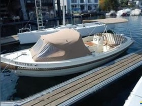 Vegyél 2011 Interboat DE 19 (Zulassungsfrei)