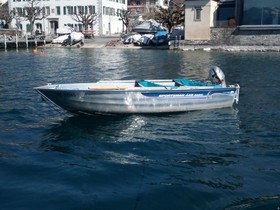 Buy 2009 Linder Sportsmann 445 Basic