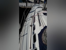 Buy Dehler 29