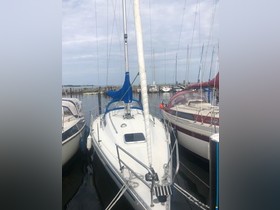 Buy 1980 Contrast 33