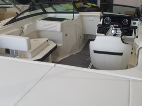 Sea Ray 190 Spoe