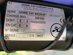 2010 Hobie Cat Wildcat F18 à vendre