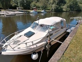 Acquistare 1980 Monashee DC