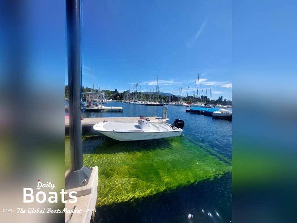 2022 Black Pepper Tender 17 for sale. View price, photos and Buy 2022