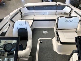 2016 Sea Ray 21 Spx kaufen