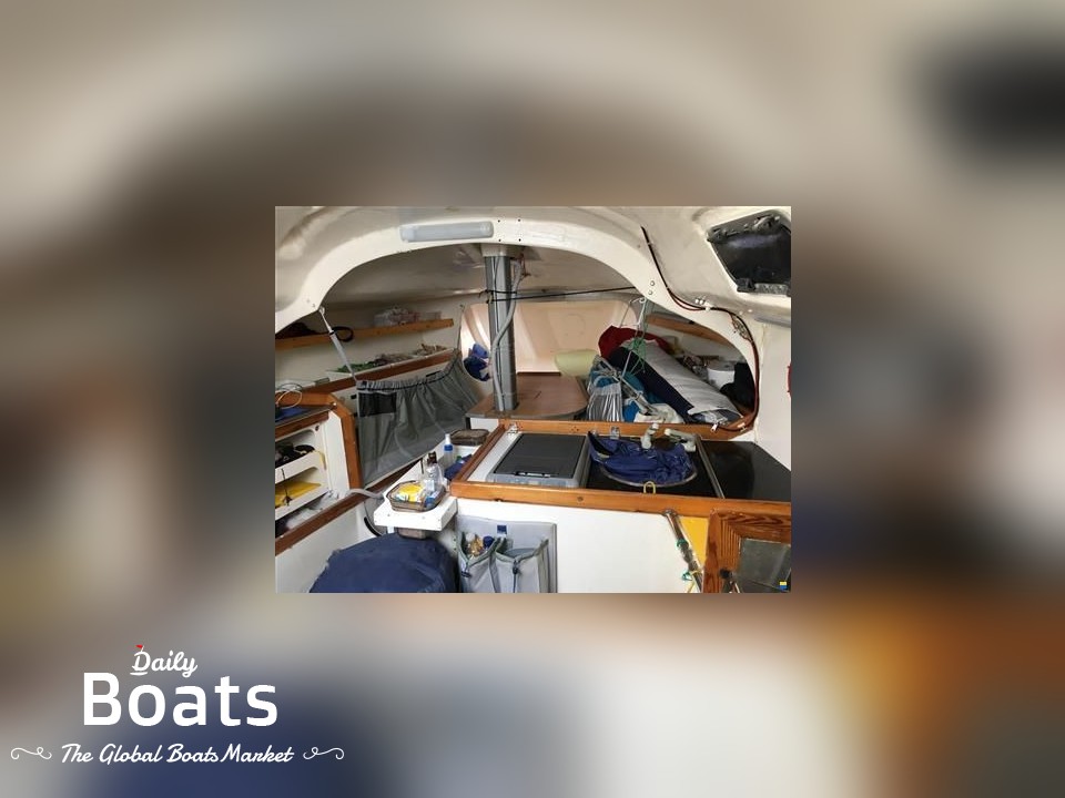 2002 3C Composites Bongo 960 for sale. View price, photos and Buy 2002 3C Composites Bongo 960