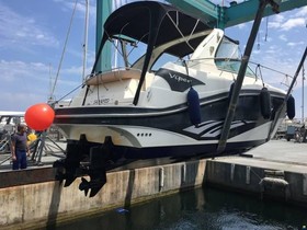 Buy 2009 Viper 303