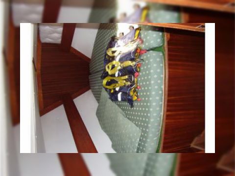 1995 Bavaria 35 for sale