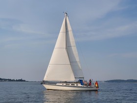Buy 1985 Carter 34