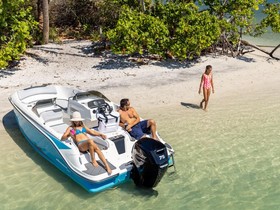 2022 Bayliner M17 Mit 80 Ps