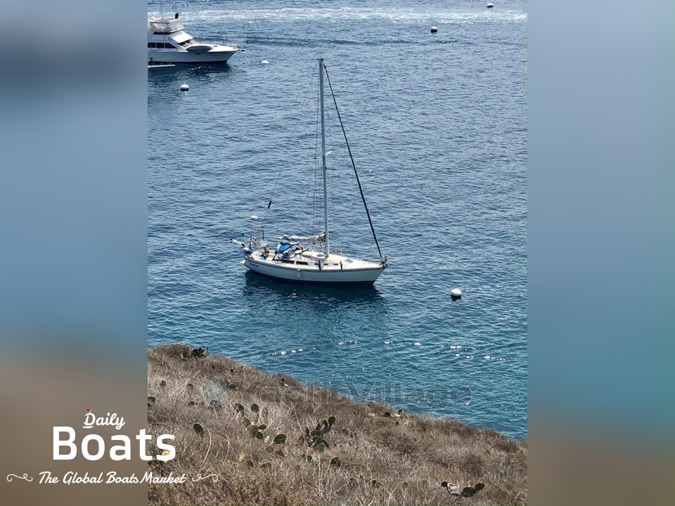 1989 Catalina for sale. View price, photos and Buy 1989 Catalina 367007