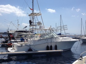 Luhrs 31 Open