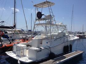 Buy 2007 Luhrs 31 Open