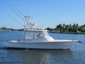 Buy 2007 Judge