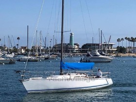 Acquistare 1984 Wylie Sloop