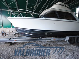 1987 Bertram Yacht 31 Flybridge Cruiser for sale