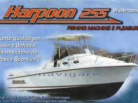 2002 Royal Yacht Group Harpoon 255 Walkaround