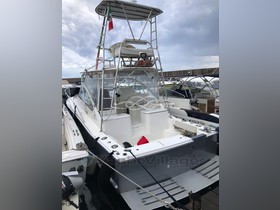 2006 Luhrs 31 for sale
