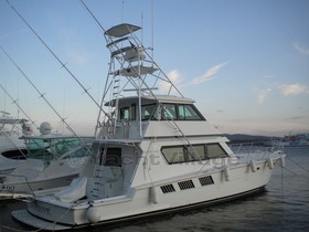 1997 Hatteras 65 à vendre