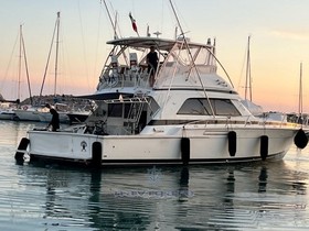 Bertram Yacht 50' Convertible