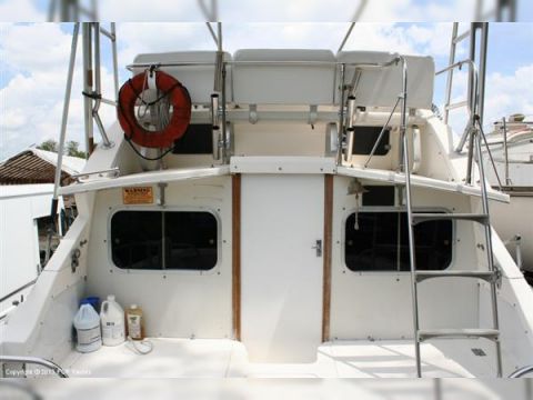 1981 Bertram 28