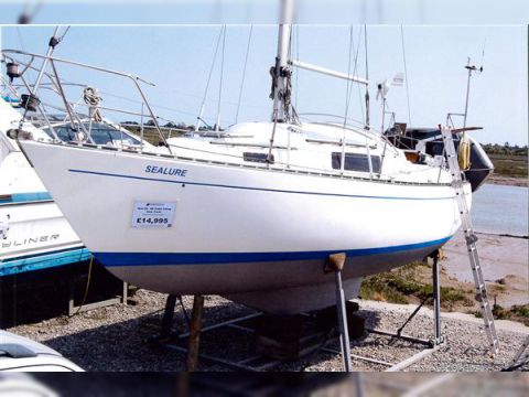 Seal 28