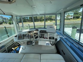 Buy 1996 Carver 500 Cockpit Motor Yacht