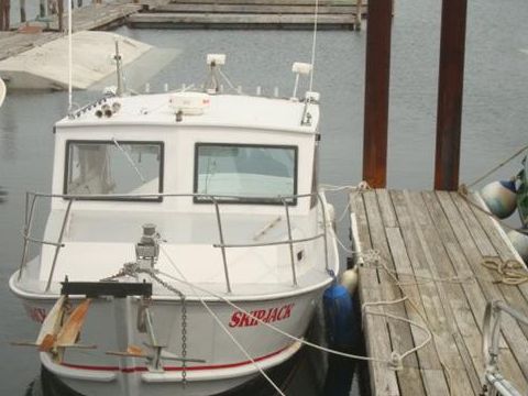 1984 Custom 28 na sprzedaż