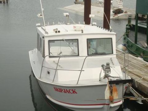 1984 Custom 28