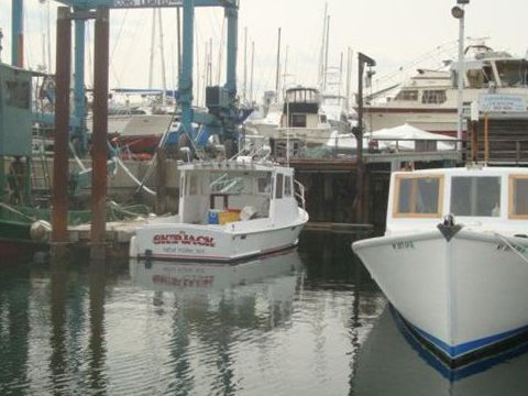 Kupić 1984 Custom 28