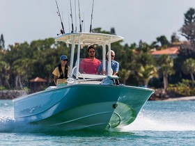 Boston Whaler 210 Montauk