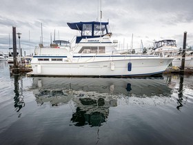 Viking 43 Double Cabin Motor Yacht