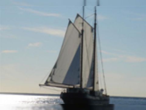 Buy 1904 Capelle Zeilklipper