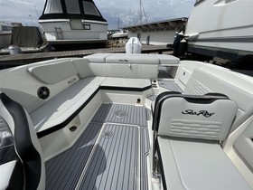 Купить 2022 Sea Ray Boats 230 Spxe Outboard