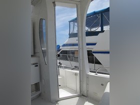 2007 Carver Yachts 43