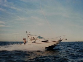 Acheter 1991 Boston Whaler Boats 31