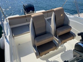 2022 Quicksilver Boats Activ 555 kaufen