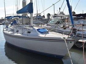 Kupiti 1989 Catalina Yachts 34