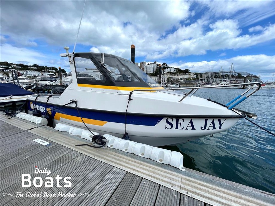 Raider 18 for sale Daily Boats