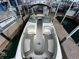 2005 Sea Ray Boats 240 Sundeck kaufen