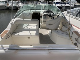 2010 Sea Ray Boats 255 Sundancer for sale