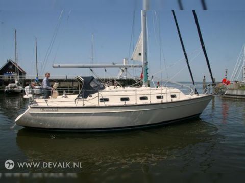 Island Packet 370