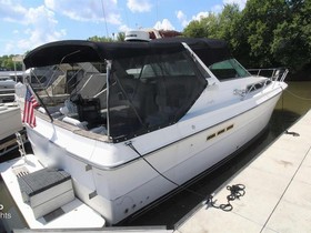 1989 Sea Ray Boats 390 Express Cruiser for sale