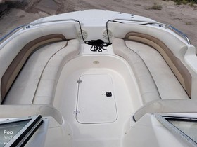 2006 Hurricane 237