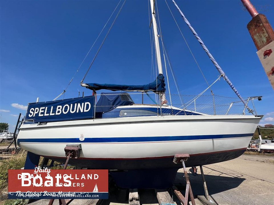 Bateaux de croisière côtière Pegasus 80 à vendre Daily Boats