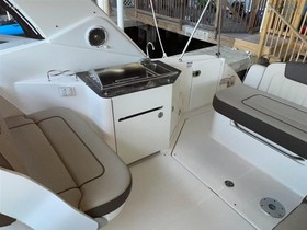 Buy 2014 Sea Ray Boats 310 Sundancer