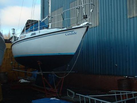 1984 Tornado kaufen