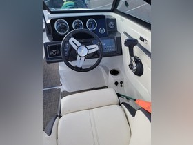 2018 Sea Ray Spx 190 kaufen