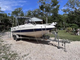 Buy 2006 Hurricane Fun Deck 231